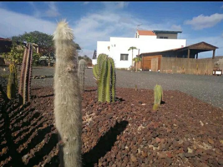Cabaña Granitas Gran Tarajal Exterior foto